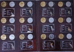 @@ 2020-2021 Anadolu'ya Özgü Kuşlar Serisi @@