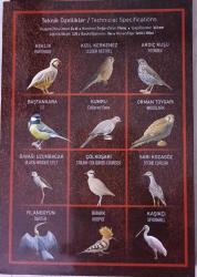 @@ 2020-2021 Anadolu'ya Özgü Kuşlar Serisi @@