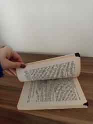 POLİTİKA BİLİMİNE GİRİŞ