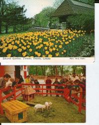 CANADA 2 POSTCARDS 1970'SEDWARD'S GARDEN TORONTO ,PARC LAFONTAİNE  MONTREAL QUEBEC PRINTED IN  USA,MARTY SCHFFER