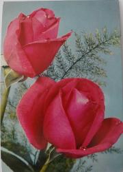 1980 POSTADAN GEÇMİŞ İLK GÜN DAMGALI GÜL TEMALI KARTPOSTAL NN2V3 NADİRDİR