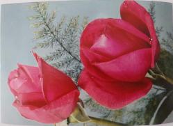 1980 POSTADAN GEÇMİŞ İLK GÜN DAMGALI GÜL TEMALI KARTPOSTAL NN2V3 NADİRDİR