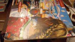 Deutsch im Einsatz Coursebook with Cambridge Second Edition: German B for the IB Diploma