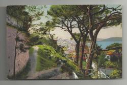 OSMANLI DÖNEMİ ÜSKÜDAR AĞAÇLAR KARTPOSTALI...