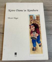 notre dame'ın kamburu