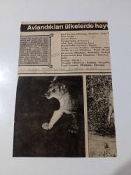 Kurt Yavrusu - Hint Ceylanı - Firavun Faresi - Karakal Kedisi - Leopar - Papağan - Şahin - Sincap - Panjur - Küpeştelikler- Süpürgelikler