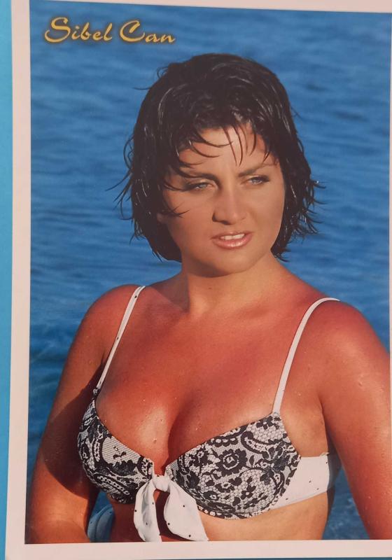 Porn Picture