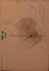 Sibel can 12*17cm kartpostal hediye başak kart