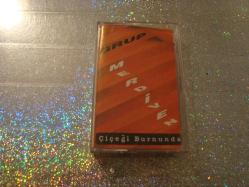 GRUP MERDİVEN* ÇİÇEĞİ BURNUNDA*KASET