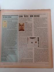 Yeni Yılla Gelen Kedi - Eşitliğin Ötesine - İyi İnsan Olmak - Fatmagül Berktay - Yunus Emre - Hümanizm - Cumhuriyet Kitap