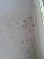 SAİT FAİK ABASIYANIK - SEÇME HİKÂYELER