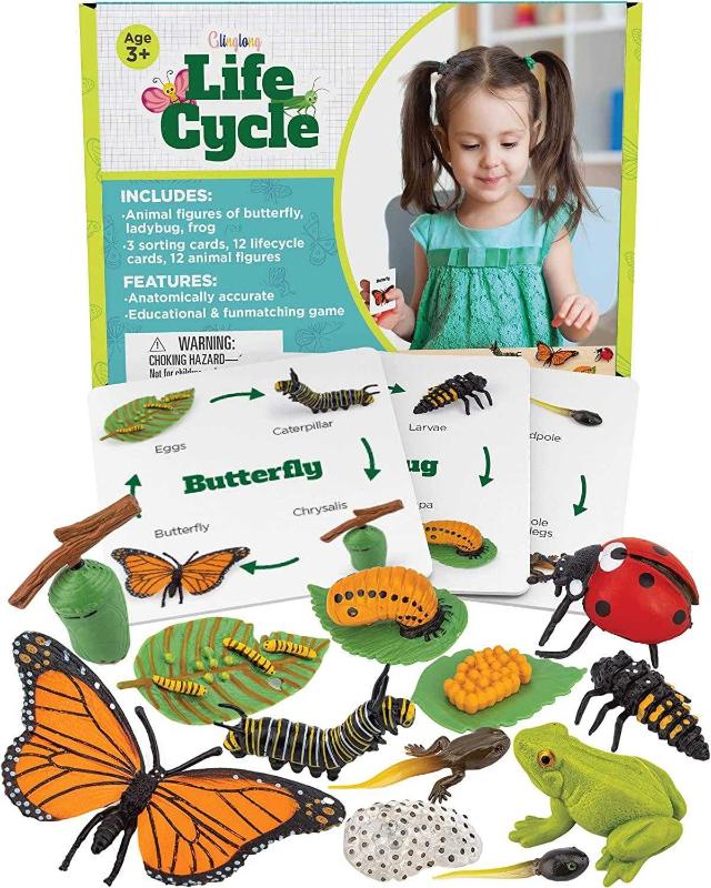 Antika - GLINGLONG Life Cycle Kit Toy Montessori - Realistic Figurine Toys,  Kids Figure Animal Match Set with Frog, Ladybug & Butterfly - Includes  12-Piece. Educational & Fun Matching Game for Children 3+ - kitantik -  kitaLog