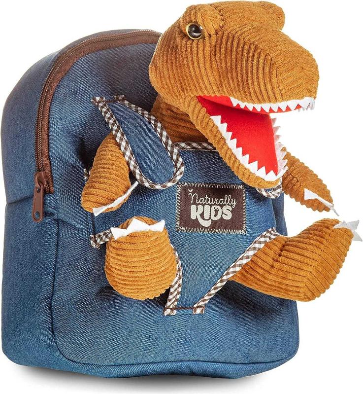 Gift for 4 year old boy best sale dinosaurs