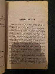Kırmızı Dizi - Yaralı Yürek- Paralı Asker - Ammy J. Fetzer-Diana Palmer - 2001/06 - Türkçe Kitap - HARLEQUIN YAYINCILIK -