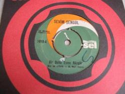 20 - SEVİM ŞENGÜL - Bir daha esme rüzgar - Üzme tatlı canını