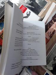 akın - faruk nafiz çamlıbel