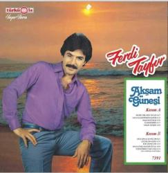 Ferdi Tayfur Akşam Güneşi Plak Türküola LP