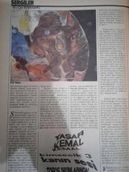 Milliyet Sanat Dergisi,1 Haziran 1991,Sayı 255,Cannes 91,Yavuzer Çetinkaya,Vecdi Sayar,Zeynep Oral,Mehmet Atak,Sunay Akın,Özdemir Nutku,Seçkin Selvi,Mahir Dinçer