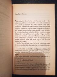 İstanbul'un Halleri - Aziz Nesin - Nesin Yayınevi -