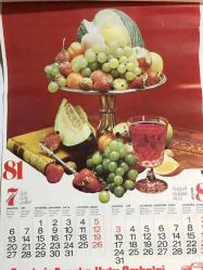 Temiz İş Teneke Kutu Ambalaj Sanayii Koll. Şti. - 1981 yılı takvim