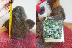 2006 YAPIMI NATİONAL GEOGRAPHİC ÇOK NADİR VİNTAGE MANDRİLL (MANDRİL) MAYMUNU PELUŞ OYUNCAK FİGÜR BEBEK 25 CM