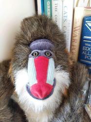 2006 YAPIMI NATİONAL GEOGRAPHİC ÇOK NADİR VİNTAGE MANDRİLL (MANDRİL) MAYMUNU PELUŞ OYUNCAK FİGÜR BEBEK 25 CM