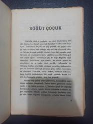 Söğüt Çocuk - Naciye İçelli - Güneş Yayınları - Türkçe Kitap