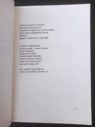 Suteni - Şükran Kozalı -  Türkçe Kitap - Şiir Atı Yayıncılık -