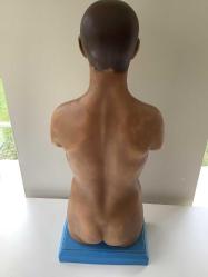 MEB DERS ALETLERİ YAPIM MERKEZİ PLASTİK İNSAN VÜCUDU FİGÜRÜ