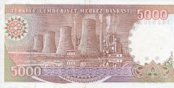 5000 Lira 7. Emisyon 4. Tertip (1990-1994)