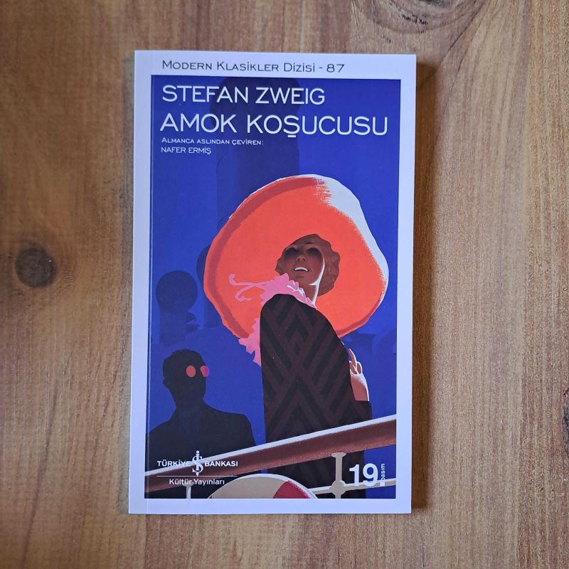 Амок цвейг содержание. Амок цвейг содержание
