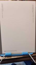 Kartpostal- Levni Surname i Vehbi - The Guests  , Ebat :15x23 cm