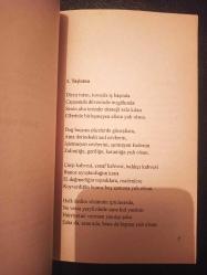 Bağımsızlık Gülü - Ceyhun Atuf Kansu -  Türkçe Kitap - Cumhuriyet Yayıncılık - Şiirler -