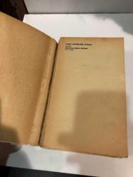 TANRI SEVENLERİ KORUR