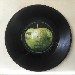 Mary Hopkin - Temma Harbour / Lontano Dagli Occhi / 45'lik