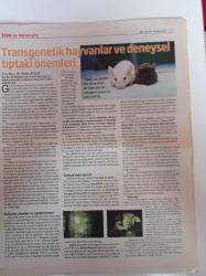 Herkese Bilim Teknoloji Gazetesi - 15 Aralık 2017 - Sayı 90 - İki Nötron Yıldızı Çarpışırsa Dünyanın Sonu Gelir Mi - Türkiye'nin İlk Tarih Öncesi Açık Hava Müzesi - 150. Yılında Das Kapital'e Güncel Bir Bakış - Politikacı Şovmen- Gülümsemek Üzerine