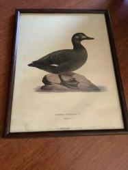 AVRUPA BASKI ESKİ RESİM