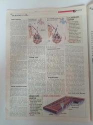 Hürriyet Bilim Teknoloji Gazetesi - 19 Temmuz 2003 - Sayı 80 - Uzayda 10 Yılda 10 Büyük Keşif - Hubble Teleskobu- Kansere Fizikçilerden Çözüm - Kaygılar Beyindeki Kısa Devrenin Ürünü