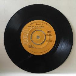 Francis Lai / Madly (Delicesine) - Eva / Turkey 1972 / 45'lik / *soundtrack*