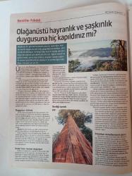 Herkese Bilim Teknoloji Gazetesi - 10 Kasım 2017 - Sayı 85 - Bir Simülasyonda Mı Yaşıyoruz - Eğitimci Bir Lider Mustafa Kemal Atatürk - Depresyonun Kısır Döngüsünden Çıkmak Mümkün - Bize Öncü Ve Yaratıcı sınıf Gerek