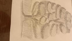 Karakalem Resim - KEREM ULUENGİN 3 ADET KARAKALEM AĞAÇ ÇİZİMİ