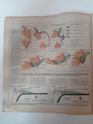 Cumhuriyet Bilim Teknik Gazetesi - 31 Temmuz 1993 - Sayı 332 - Altaylara Türk Yorumu - Celâl Şengör - Orman Yangınlarına Yeni Çözüm - Sinekler Lordu - Yeni Teknolojik Ürünler - Zamanı Kullanmayı Bilmek