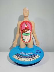 Antika - 3D İnteraktif insan vücudu eğitim seti - kitantik - kitaLog