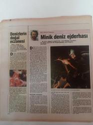 Cumhuriyet Bilim Teknik Gazetesi - 23 Şubat 1991 - Sayı 206 - Minik Deniz Ejderhası- Biyoteknolojide Büyük Tartışma Başlatan Gelişme - Borusuz Sobaların Tehlikeleri - Moleküler Biyoloji Ve Tıp - John Bardeen - Temel Bilim Öğrencilerine TÜBİTAK Bursları