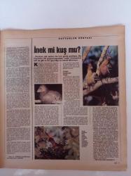 Cumhuriyet Bilim Teknik Gazetesi - 29 Nisan 1995- Sayı 423- Septik Şokta Yeni Yaklaşımlar - İstanbul Bir Bilimkent'e Kavuşmalı- İnek Mi Kuş Mu - Karaciğer Hastalıklarında Durum - Yeni Ürünler