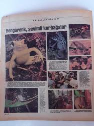 Cumhuriyet Bilim Teknik Gazetesi - 22 Temmuz 1995 - Sayı 435 - Bafa Gölünde Magara Resimleri - Rengarenk Kurbağalar - Zor Spor Gerekli Mi - Güneş Enerjisine Rağbet