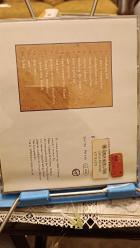 PETER GABRIEL - SHAKING THE TREE - SIXTEEN GOLDEN GREATS (CD)