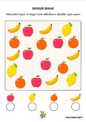 Okul Öncesi Matematiğe Giriş (Sayılar) Yaz-Sil Kitabı