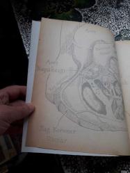 Senin kullanım kılavuzun