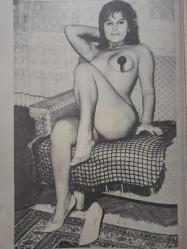 Peri Magazin Dergisi- 12 Mayıs 1964- Yeşim Kaya-Ferudun Karakaya-Cilalı İbo-Leyla Sayar-Kelle Koltukta filmini 19 yaşında çeviren İlk Seher Şeniz fotoğrafları -Dansöz Semra Yıldız-Ses sanatkarı Orhan Subay’ın ölüm haberi,Adnan Pekak,İnadın Zaferi- Kelle Koltukta- Perdede Komikler- Duydum Gördüm Yazdım- Bahçesiz Çiçek- Özcan Tekgül- Japon Gülü- Yırtık Fotoğraf